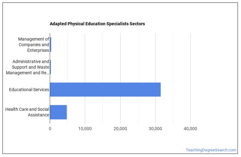 What s It Like Being An Adapted Physical Education Specialist 
