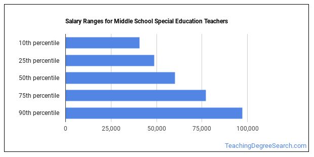 What Does a Middle School Special Education Teacher do