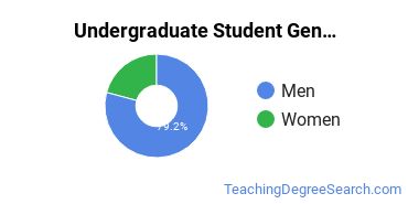 Undergraduate Gender Diversity at Alaska Bible College