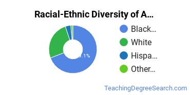 Racial-Ethnic Diversity of Southern Christian University  Regions University Undergraduate Students