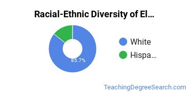 Racial-ethnic diversity of Elementary Education majors at Aurora University