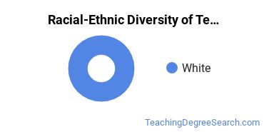 Racial-ethnic diversity of Teacher Education Subject Specific majors at Benedictine College