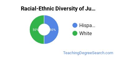 Racial-ethnic diversity of Middle School Education & Teaching majors at Brazosport College
