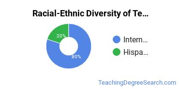 Racial-ethnic diversity of Teacher Education majors at Bridgewater State University