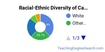 Racial-Ethnic Diversity of Capitol Technology University Undergraduate Students