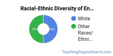 Racial-ethnic diversity of English & Language Arts Education majors at College of Saint Mary