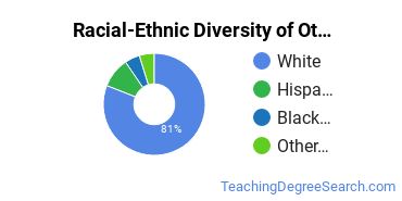 Racial-ethnic diversity of Other Education majors at Endicott College