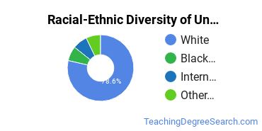 Racial-Ethnic Diversity of Great Northern University Undergraduate Students
