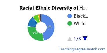 Racial-Ethnic Diversity of Harcum College Undergraduate Students