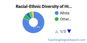 Racial-Ethnic Diversity of Minnesota North College Undergraduate Students