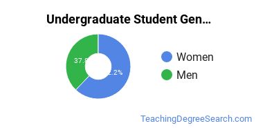 Undergraduate Gender Diversity at Inter American University of Puerto Rico-Fajardo