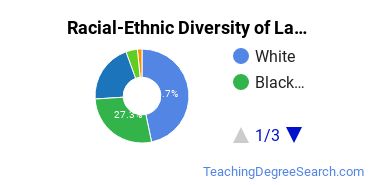 Racial-Ethnic Diversity of Lamar Institute of Technology Undergraduate Students