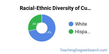 Racial-ethnic diversity of Curriculum & Instruction majors at Lubbock Christian University