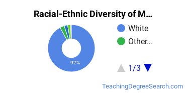 Racial-Ethnic Diversity of Maysville Community and Technical College Undergraduate Students