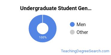 Undergraduate Gender Diversity at Morehouse College