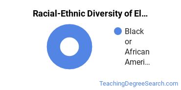 Racial-ethnic diversity of Elementary Education majors at New Jersey City University