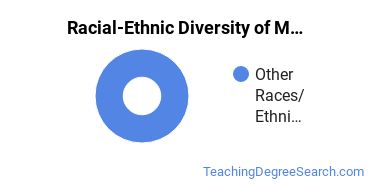 Racial-ethnic diversity of Multilingual Education majors at Northeastern State University