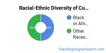 Racial-ethnic diversity of Curriculum & Instruction majors at Ottawa University-Online