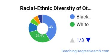 Racial-ethnic diversity of Other Educational Assessment majors at Pennsylvania State University-Main Campus