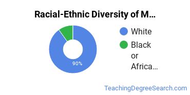 Racial-ethnic diversity of Modern Language Education majors at Pennsylvania State University-Main Campus