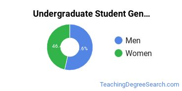 Undergraduate Gender Diversity at Pennsylvania State University - University Park