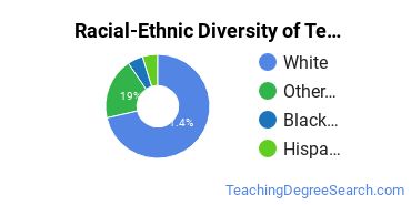 Racial-ethnic diversity of Teacher Education Grade Specific majors at Pennsylvania State University-Penn State Berks