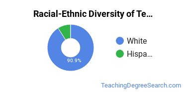 Racial-ethnic diversity of Teacher Education Grade Specific majors at Pennsylvania State University-Penn State Erie-Behrend College