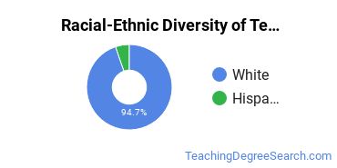 Racial-ethnic diversity of Teacher Education majors at Pennsylvania State University-Penn State Erie-Behrend College