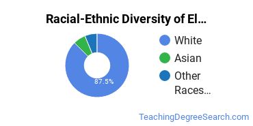 Racial-ethnic diversity of Elementary Education majors at Pennsylvania State University-Penn State Harrisburg