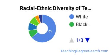 Racial-ethnic diversity of Teacher Education Subject Specific majors at Pennsylvania State University-Penn State Harrisburg