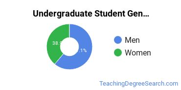 Undergraduate Gender Diversity at Pennsylvania State University-Penn State Harrisburg