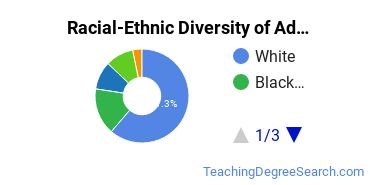 Racial-ethnic diversity of Adult & Continuing Education majors at Pennsylvania State University-World Campus