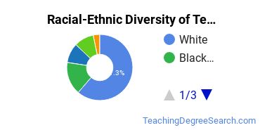 Racial-ethnic diversity of Teacher Education Grade Specific majors at Pennsylvania State University-World Campus