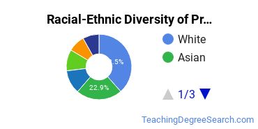 Racial-Ethnic Diversity of Princeton University Undergraduate Students