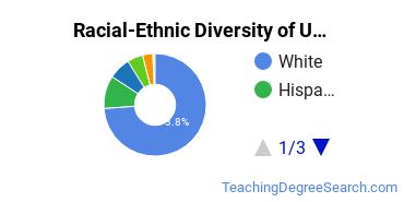 Racial-Ethnic Diversity of Universtiy of Arkansas Rich Mountain Undergraduate Students