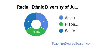 Racial-ethnic diversity of Middle School Education & Teaching majors at Saint Xavier University