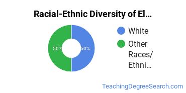 Racial-ethnic diversity of Elementary Education majors at Sitting Bull College