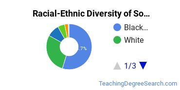 Racial-Ethnic Diversity of Southwest Undergraduate Students