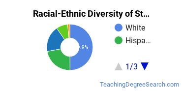 Racial-Ethnic Diversity of Stautzenberger College-Rockford Career College Undergraduate Students