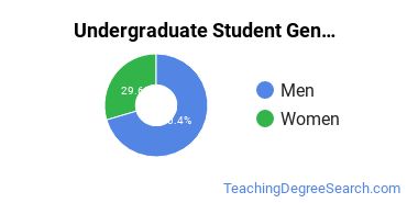 Undergraduate Gender Diversity at Universidad Politecnica de Puerto Rico