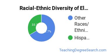 Racial-ethnic diversity of Elementary Education majors at University of Phoenix-California