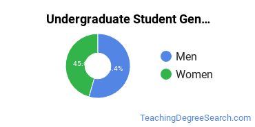 Undergraduate Gender Diversity at University of Puerto Rico-Mayaguez