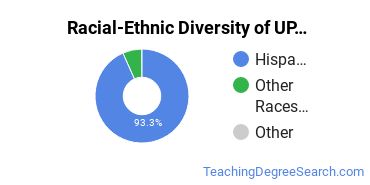 Racial-Ethnic Diversity of University of Puerto Rico-Mayaguez Undergraduate Students