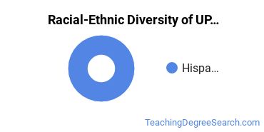 Racial-Ethnic Diversity of UPR-Ponce Undergraduate Students