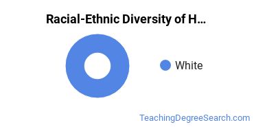 Racial-ethnic diversity of Health Education majors at University of the Cumberlands