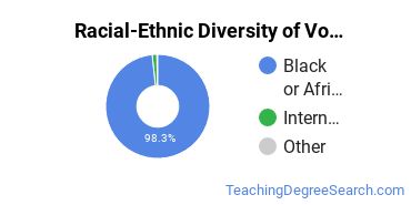 Racial-Ethnic Diversity of VU Undergraduate Students