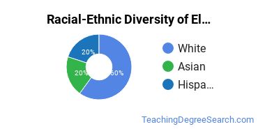 Racial-ethnic diversity of Elementary Education majors at Wagner College