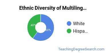 Multilingual Education Majors in RI Ethnic Diversity Statistics