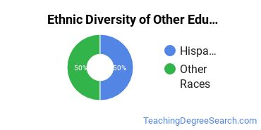 Other Education Majors in NV Ethnic Diversity Statistics