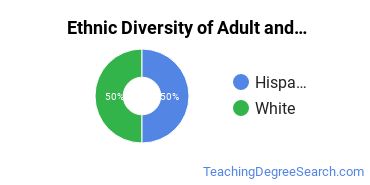 Adult & Continuing Education Majors in CA Ethnic Diversity Statistics